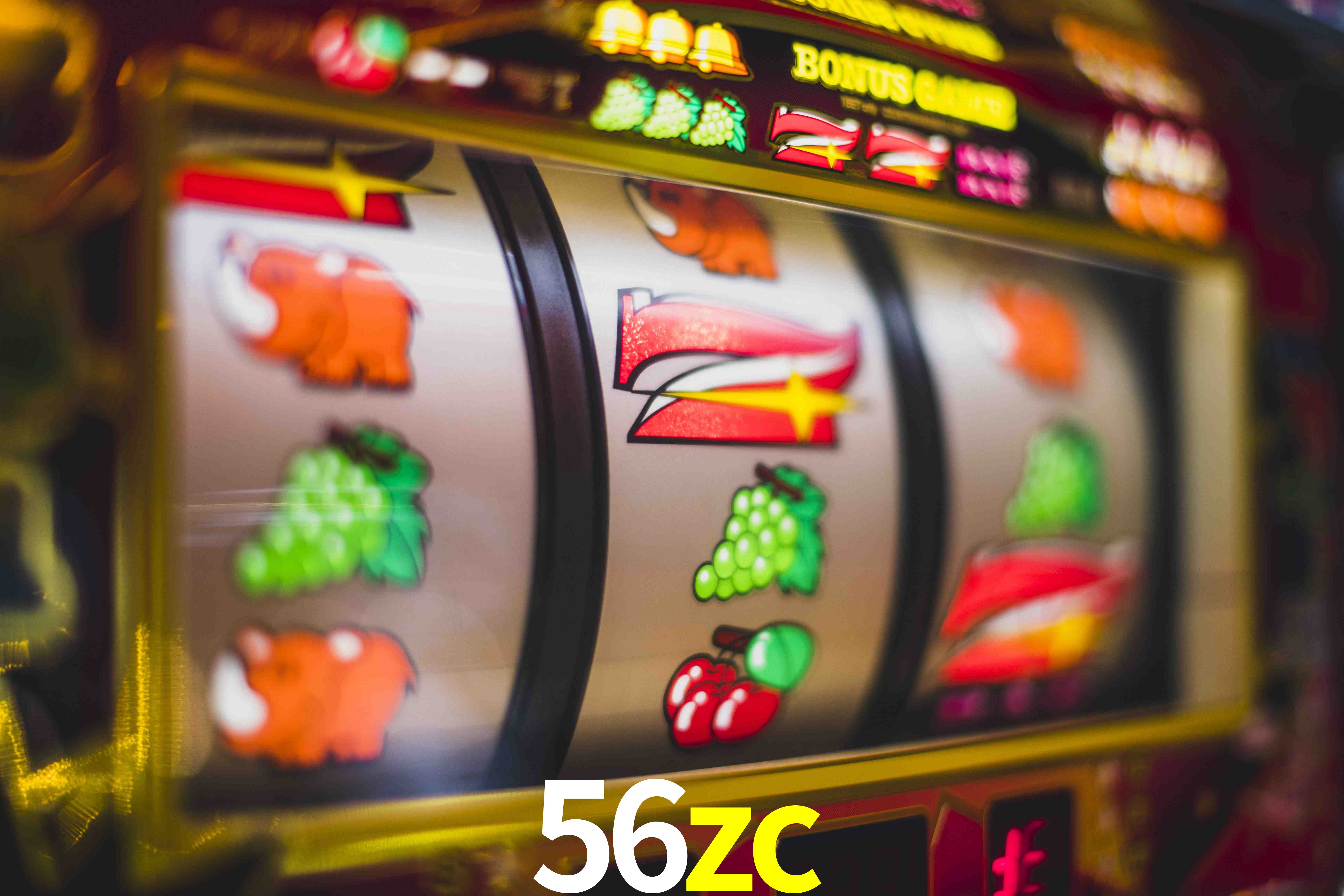 Live Casino 56zc